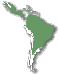 Территория распространения ягуарунди